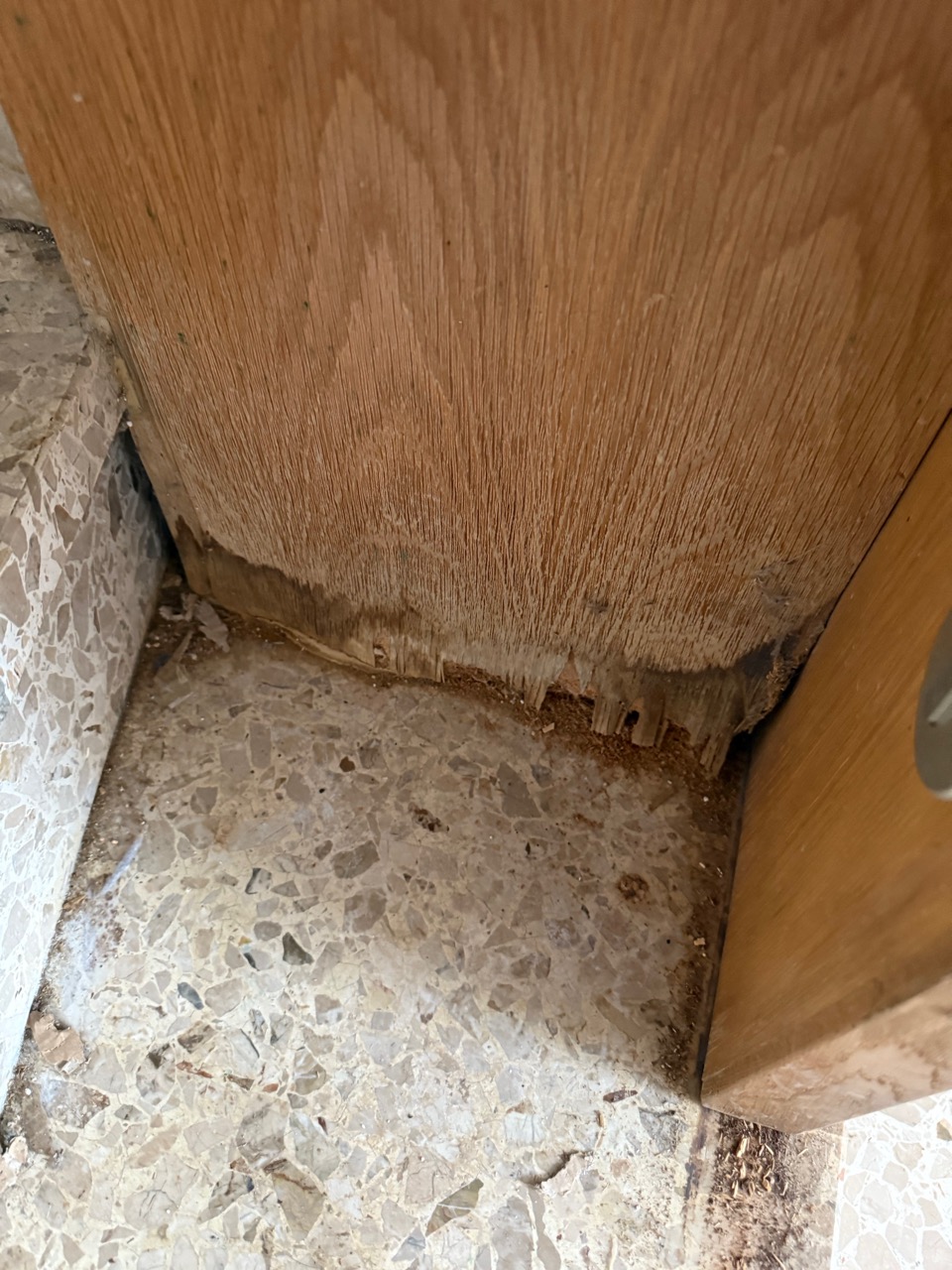 nordrheinwestpfalen 0183 K 0034/2024 Fünfhöfestraße 24, 45329 Essen 28