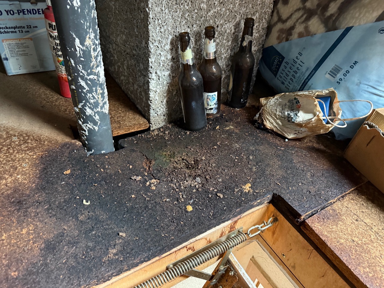 nordrheinwestpfalen 0183 K 0034/2024 Fünfhöfestraße 24, 45329 Essen 24