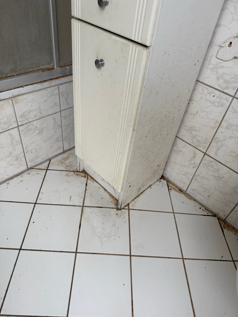 nordrheinwestpfalen 0183 K 0034/2024 Fünfhöfestraße 24, 45329 Essen 17