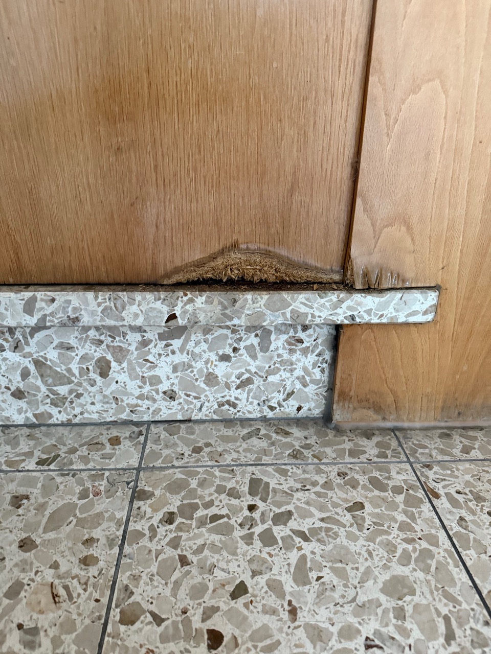 nordrheinwestpfalen 0183 K 0034/2024 Fünfhöfestraße 24, 45329 Essen 15