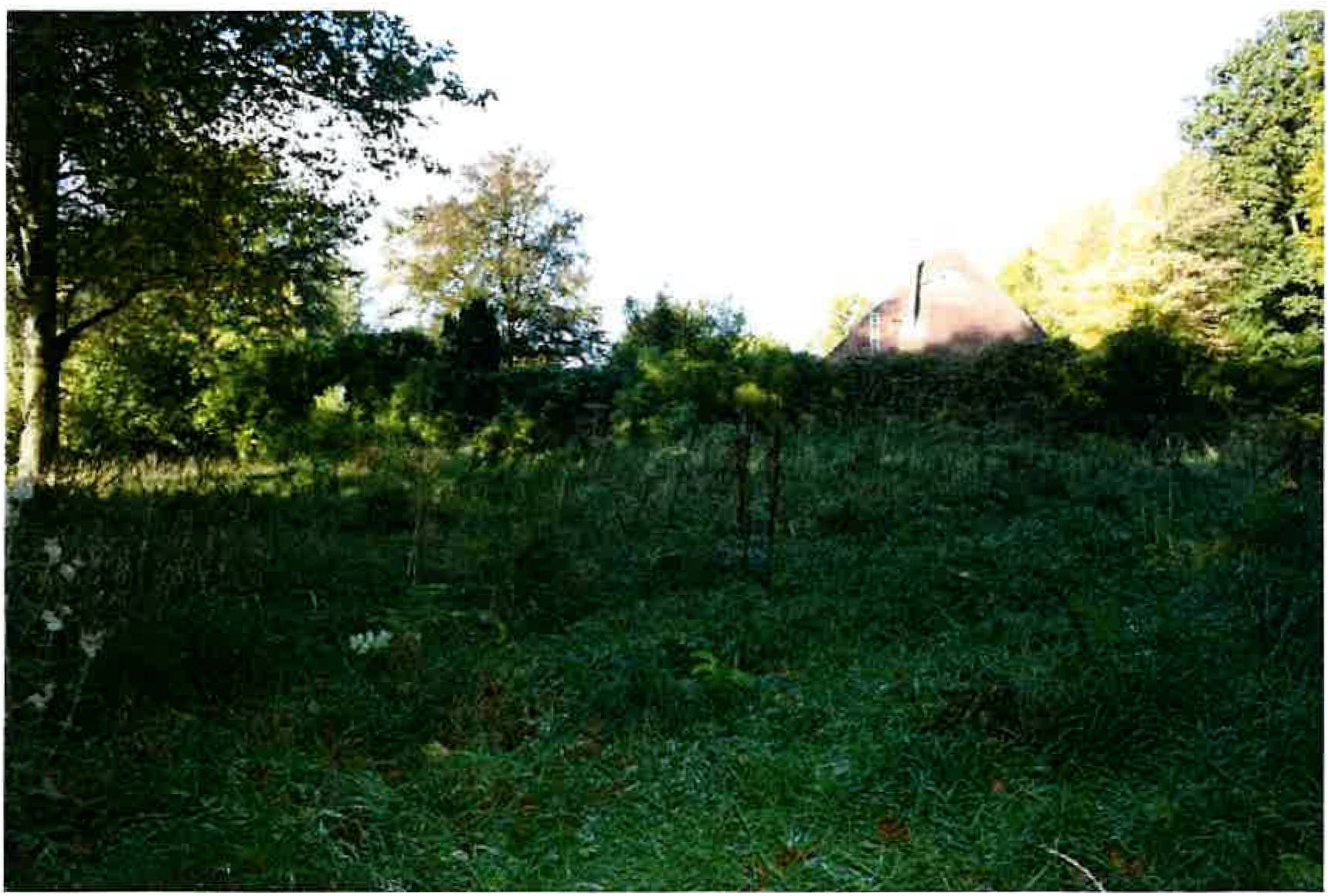 unbebautes Grundstück in Brucker Holt, 45133 Essen - Bild 3