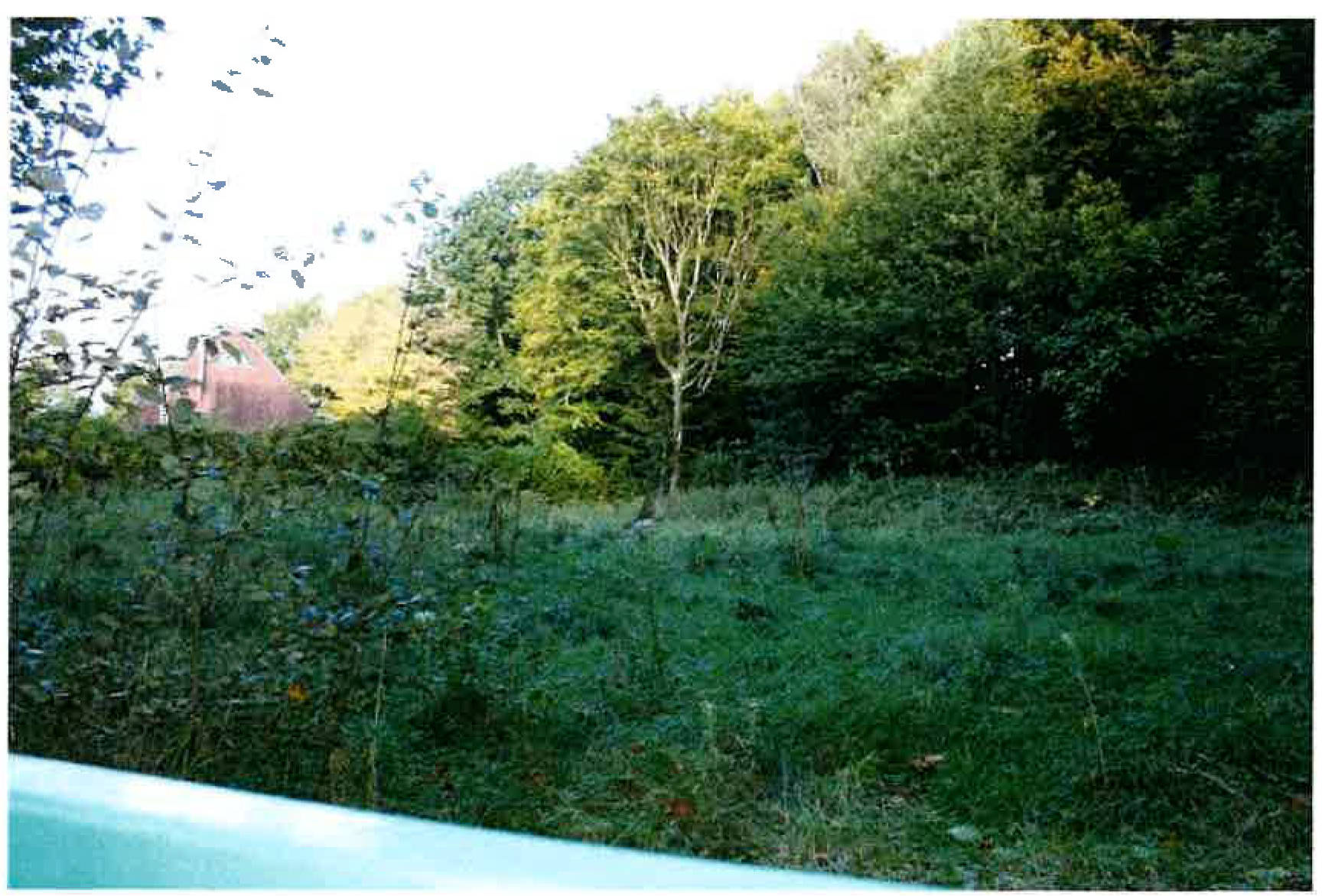 unbebautes Grundstück in Brucker Holt, 45133 Essen - Bild 2