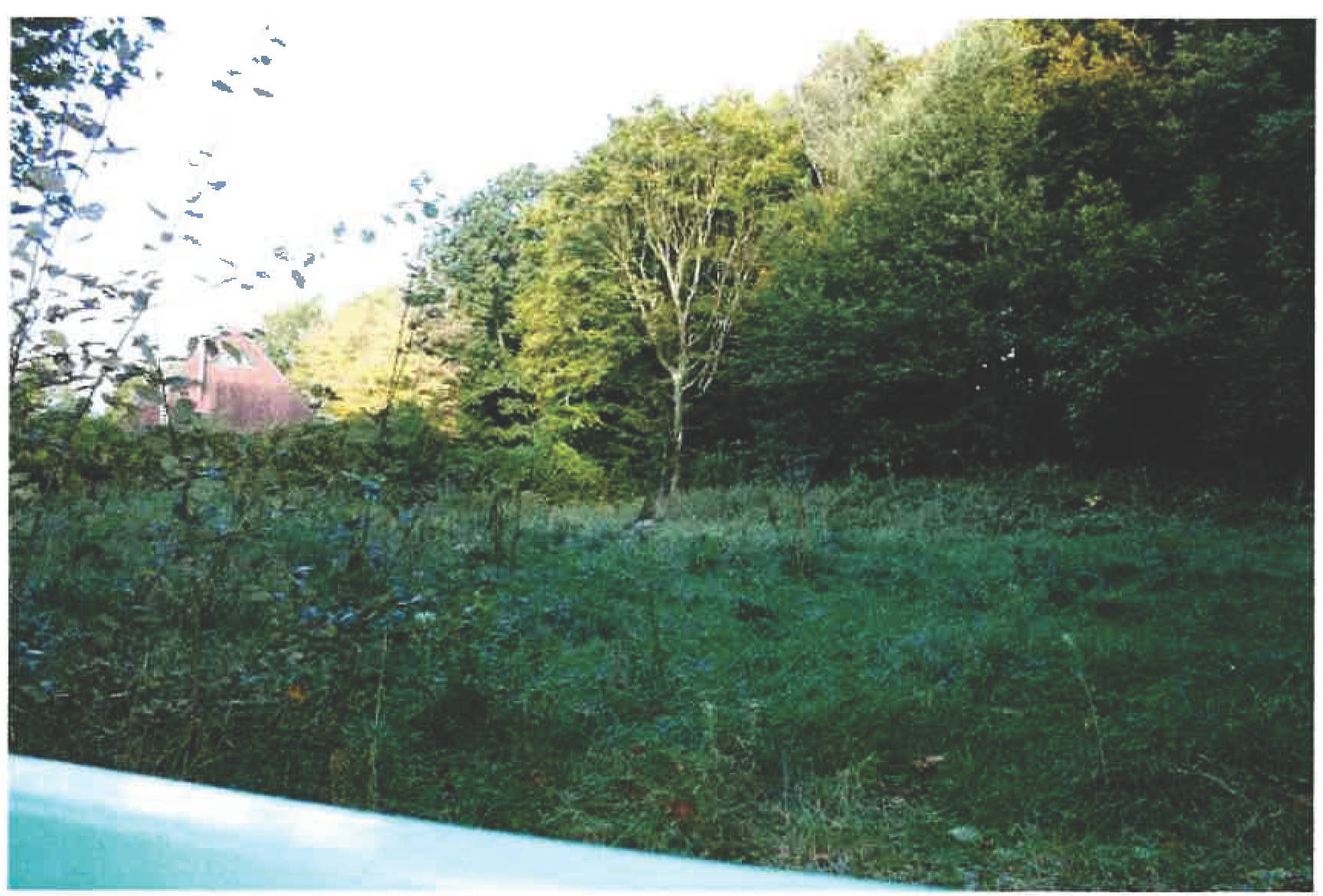 unbebautes Grundstück, Baugrundstück in Brucker Holt, 45133 Essen - Bild 4