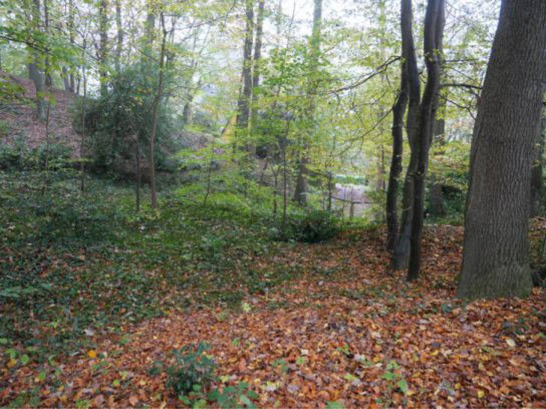Garage, Einfamilienhaus, Waldfläche in Laupendahler Höhe 162, 00000 - Bild 2