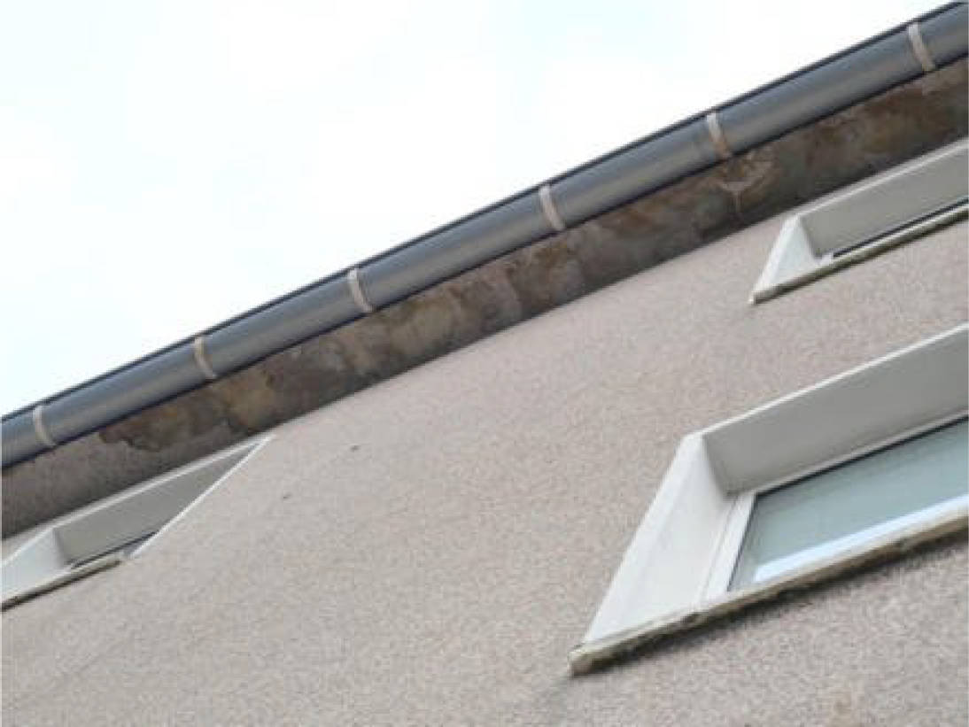 nordrheinwestpfalen 0183 K 0053/2024 Maxstr. 56, 45127 Essen 13