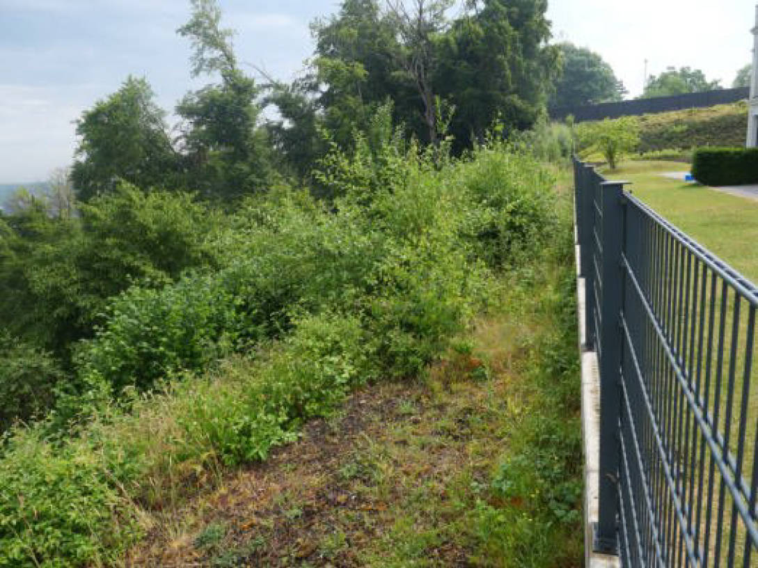 Waldgrundstück in Auf der Rötsch, 45219 Essen - Bild 2