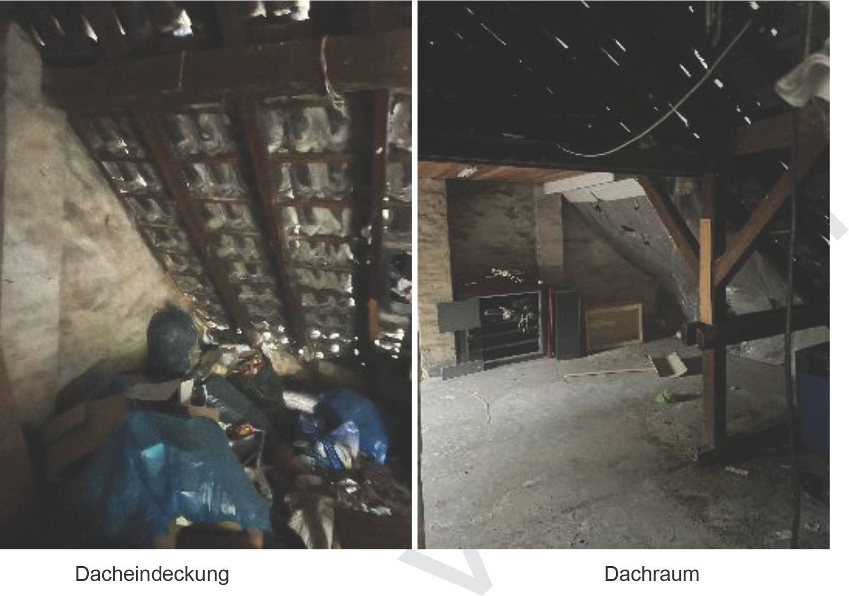 nordrheinwestpfalen 0185 K 0004/2025 Bäuminghausstraße 95, 97, 45326 Essen, Altenessen 29