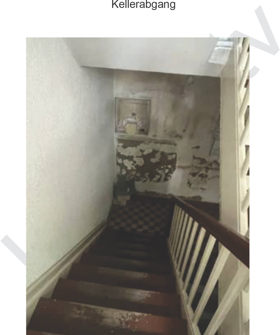 nordrheinwestpfalen 0185 K 0004/2025 Bäuminghausstraße 95, 97, 45326 Essen, Altenessen 11