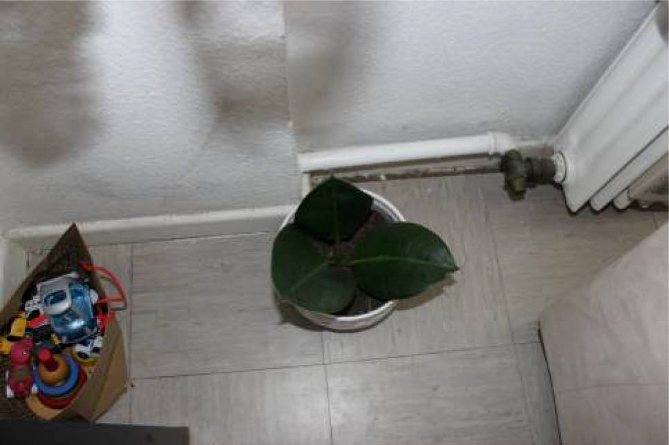 nordrheinwestpfalen 0223 K 0007/2024 Kölnstr. 469 A, 471, 473, 53117 Bonn, Auerberg 31