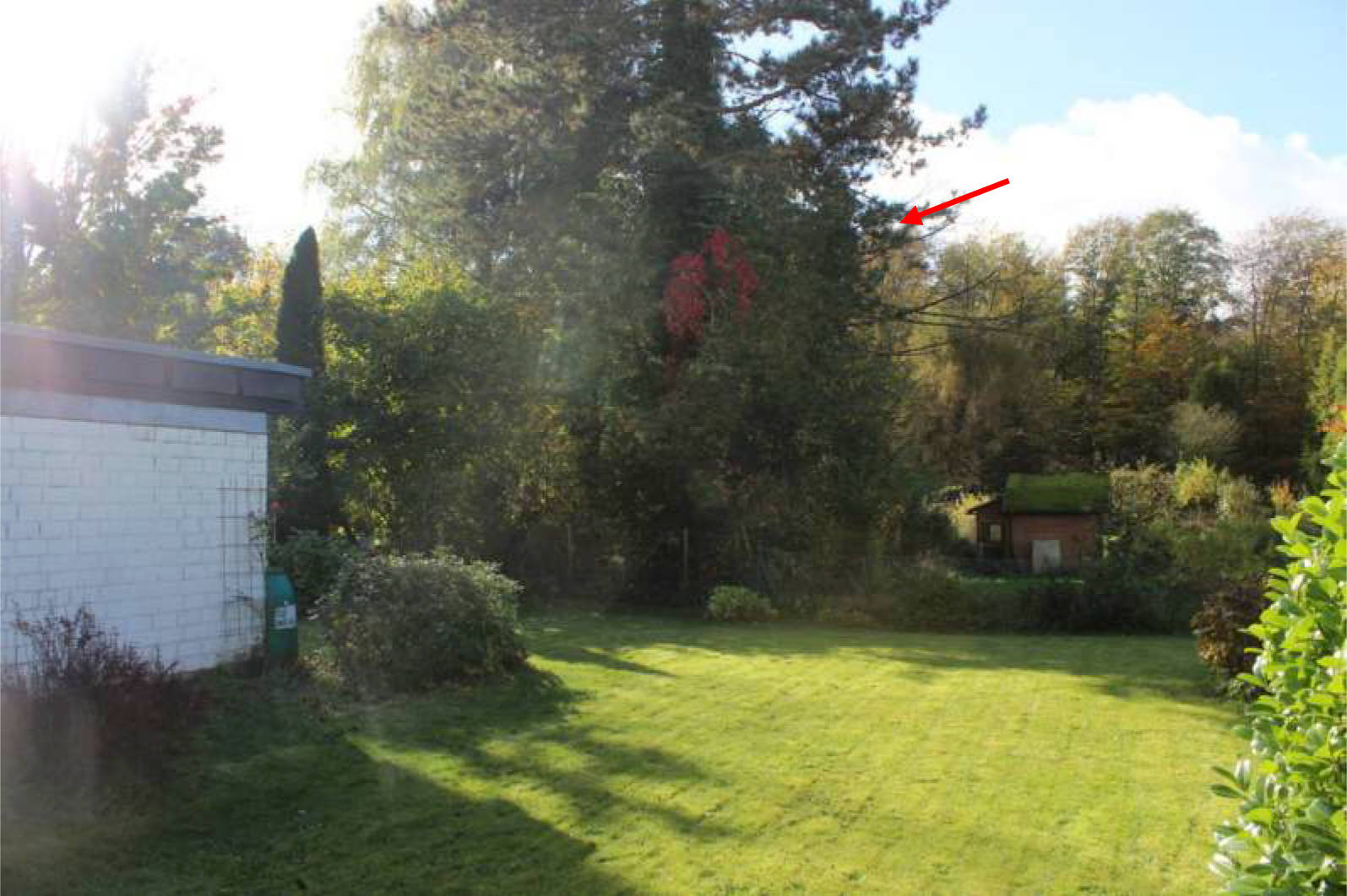 nordrheinwestpfalen 0223K0011-2024 Drosselstr. 12, 53229 Bonn, Hoholz