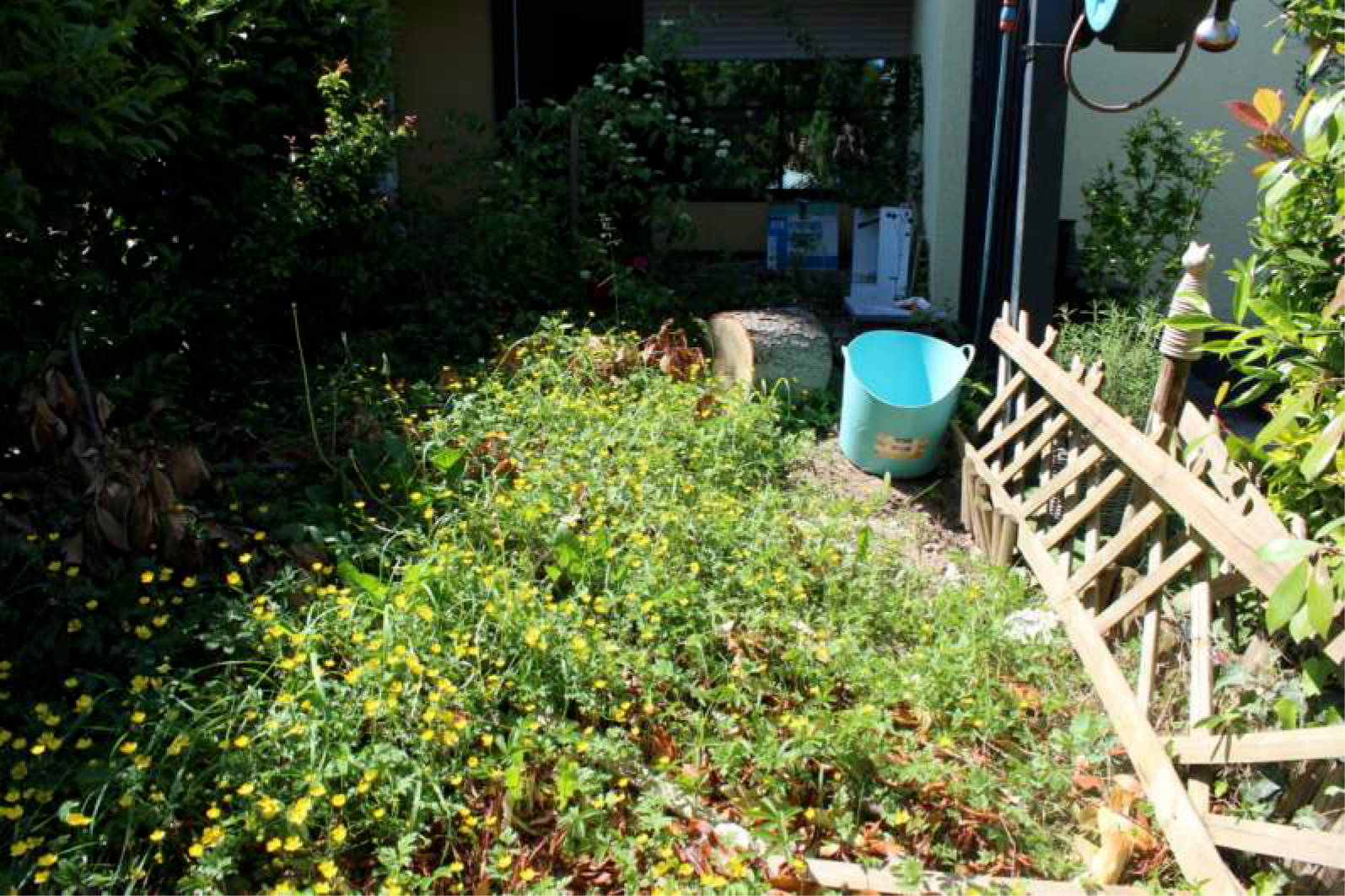 nordrheinwestpfalen 0223 K 0015/2024 Westpreußenstraße 2, 4, 6, 8, 10, 12, 14, 16, 18, 53119 Bonn, Tannenbusch 33