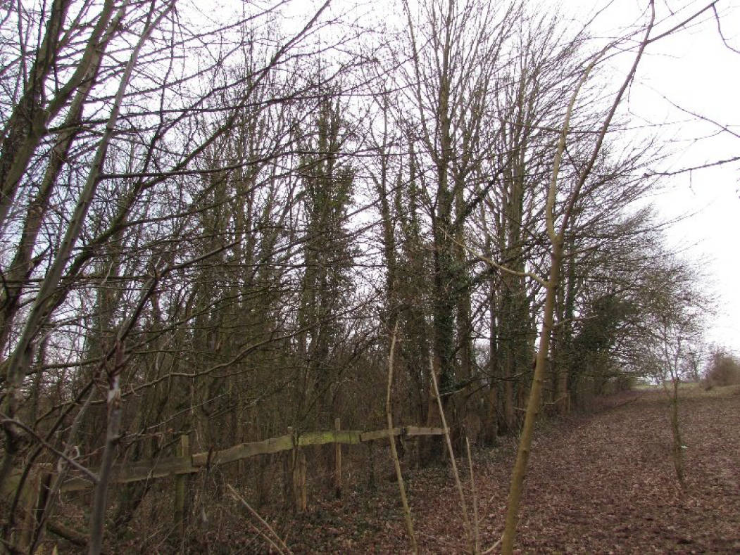 nordrheinwestpfalen 0223K0037/2024 Auf dem Brusserberg, 53125 Bonn, Röttgen 6