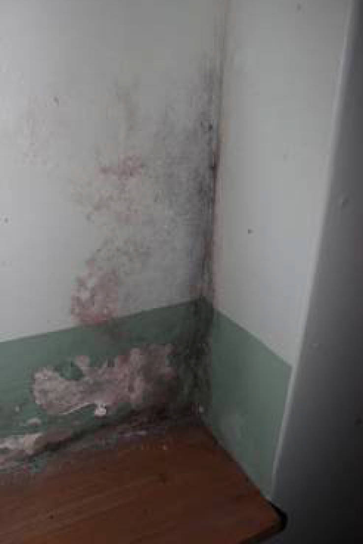 nordrheinwestpfalen 0223 K 0050/2024 Hauptstr. 103, 53229 Bonn, Holzlar 24