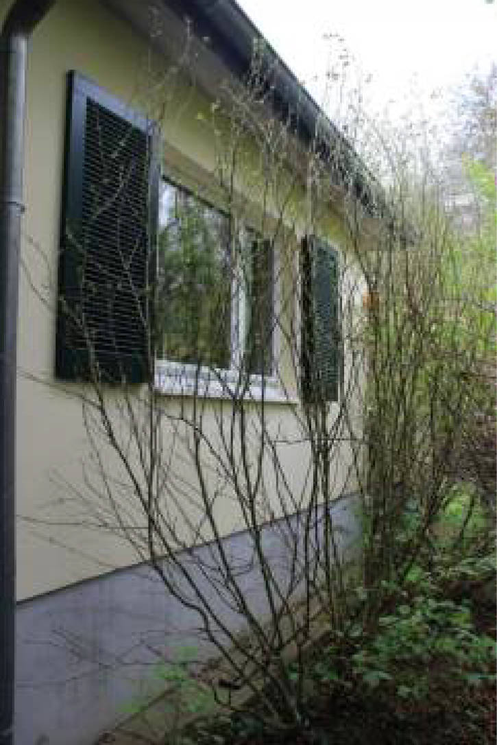 nordrheinwestpfalen 0223 K 0050/2024 Hauptstr. 103, 53229 Bonn, Holzlar 6