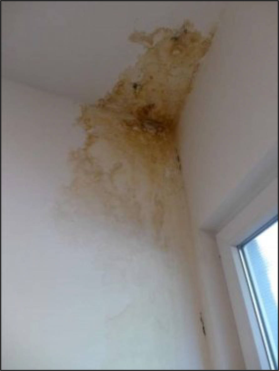 nordrheinwestpfalen 0271 K 0010/2023 Olpe 16, 44135 Dortmund, Innenstadt 16