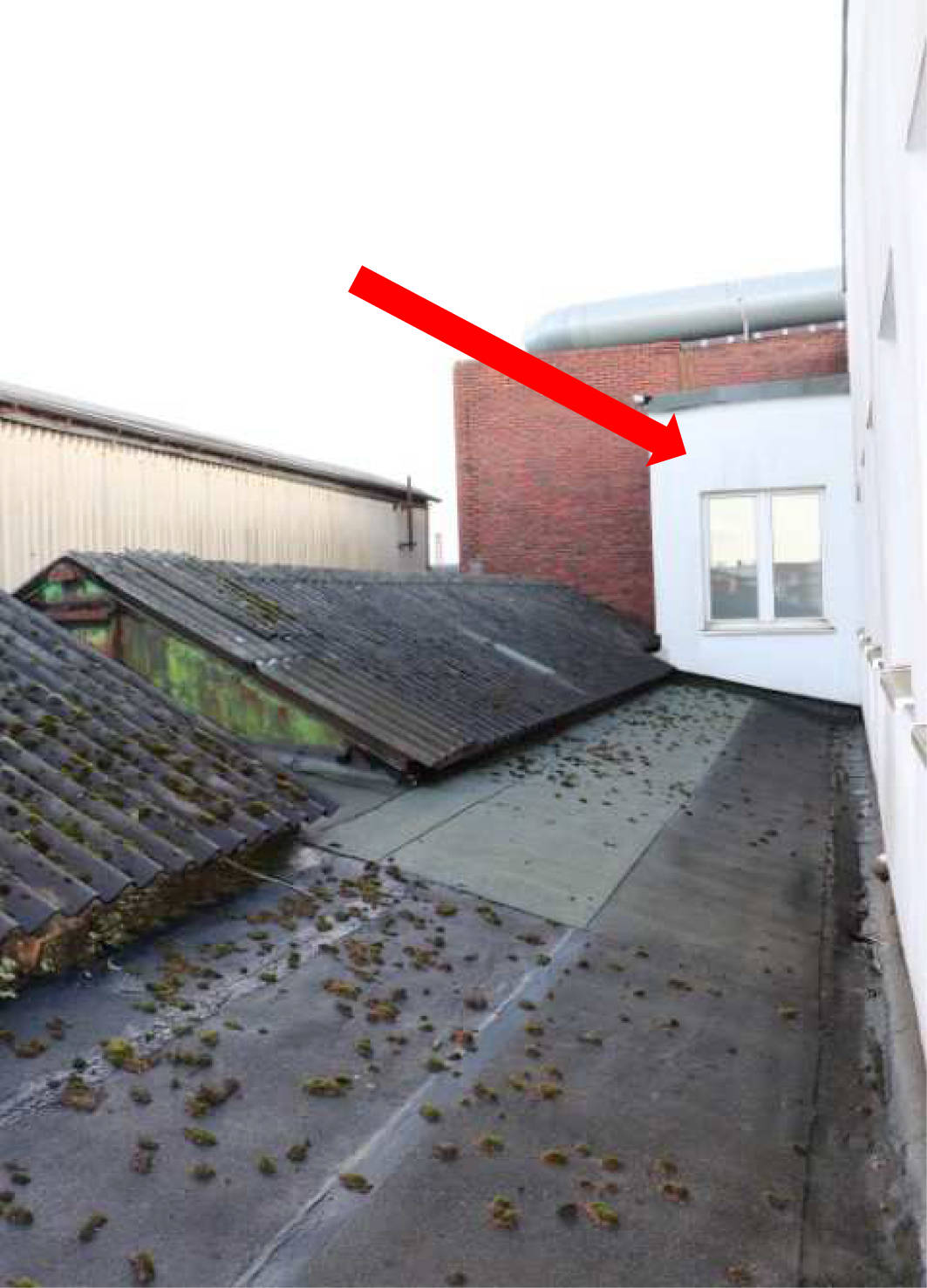 gewerblich genutztes Grundstück in Körnebachstraße 48a, 44143 Dortmund, Innenstadt-Ost - Bild 5