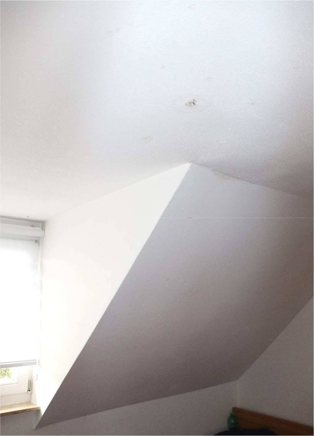 nordrheinwestpfalen 0273 K 0010/2021 Sichelstraße 57, 44229 Dortmund, Bittermark 16