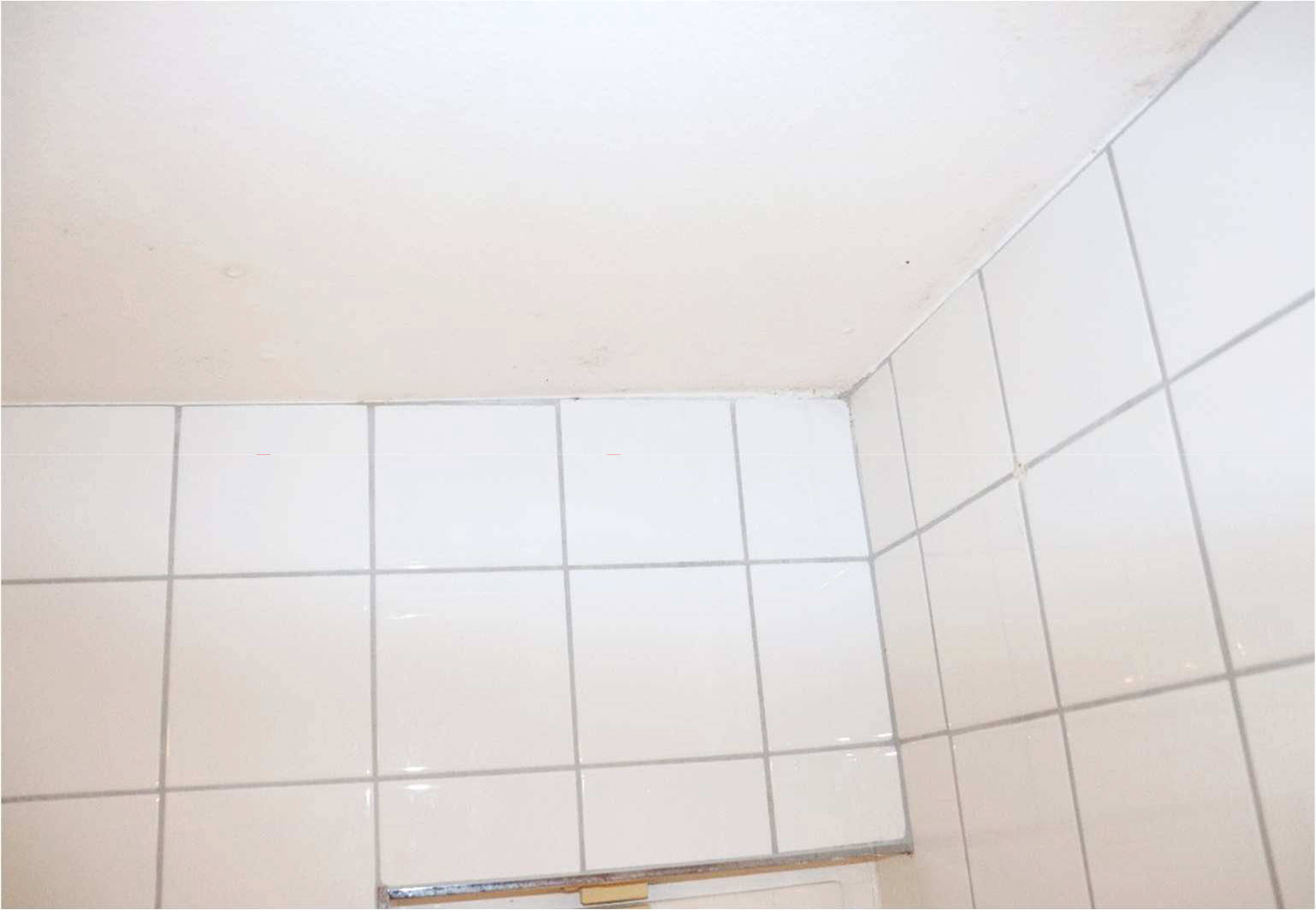 nordrheinwestpfalen 0273 K 0010/2021 Sichelstraße 57, 44229 Dortmund, Bittermark 11