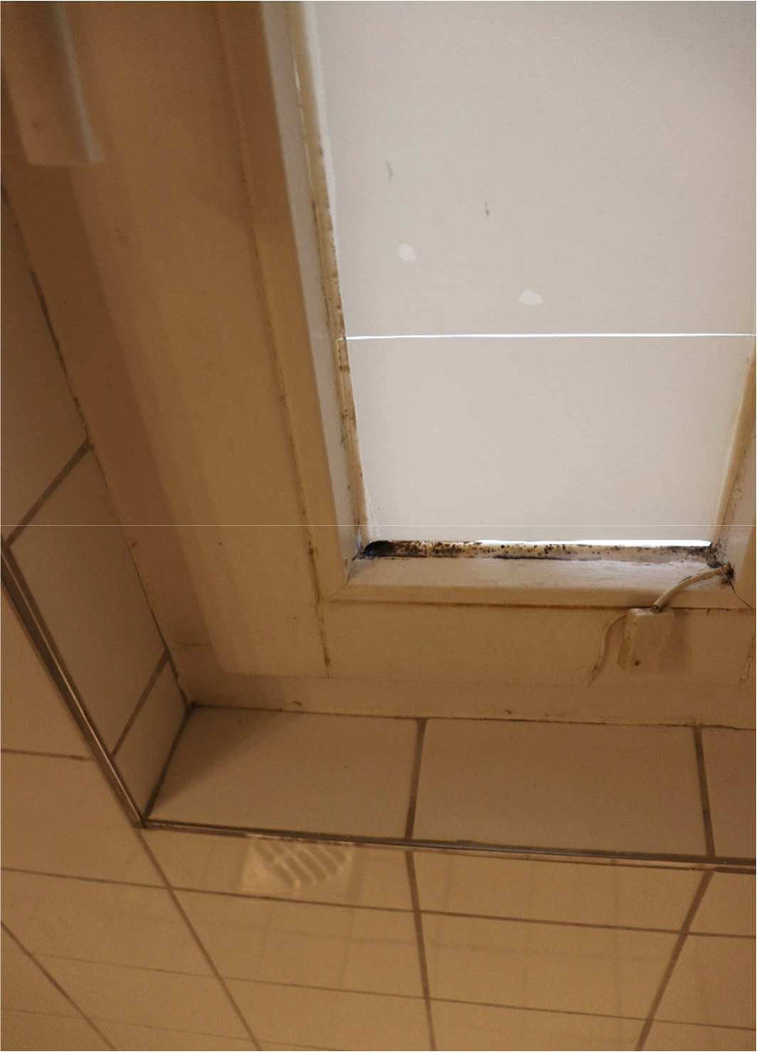 nordrheinwestpfalen 0273 K 0010/2021 Sichelstraße 57, 44229 Dortmund, Bittermark 9