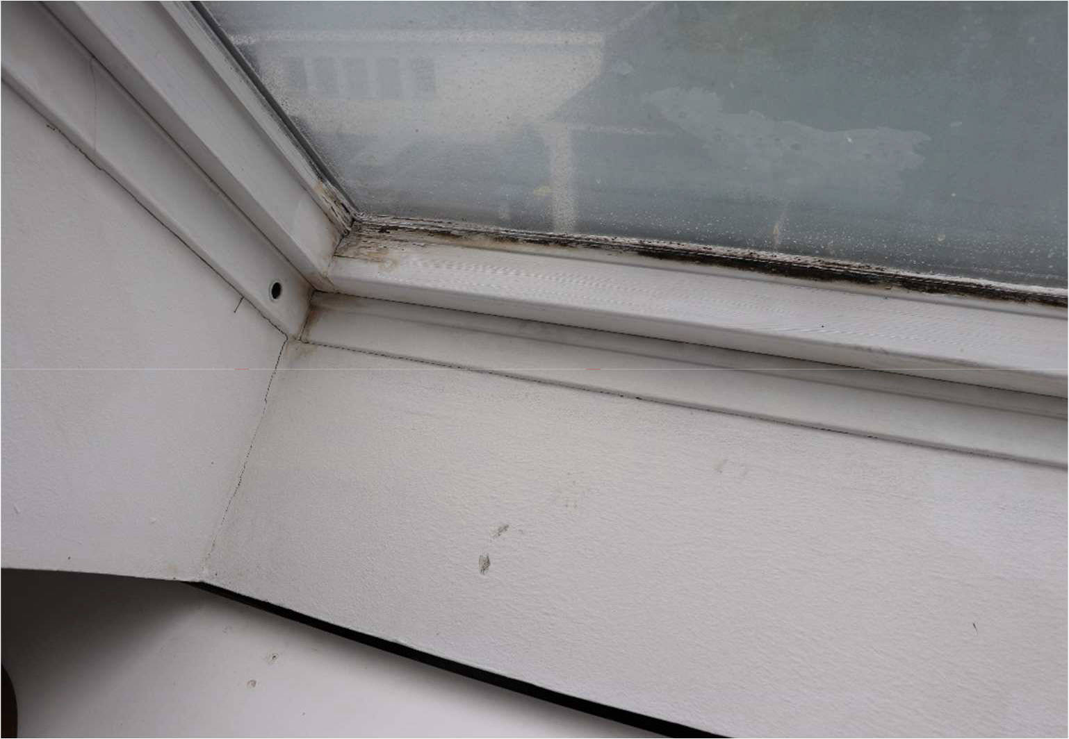 nordrheinwestpfalen 0273 K 0010/2021 Sichelstraße 57, 44229 Dortmund, Bittermark 22
