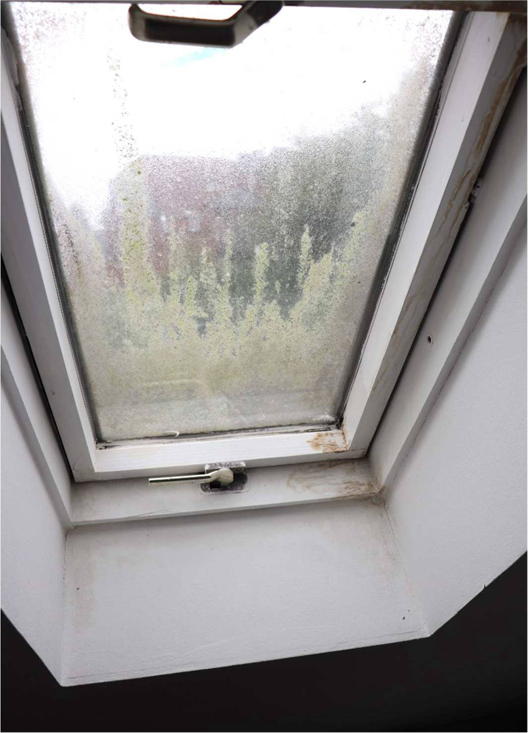 nordrheinwestpfalen 0273 K 0010/2021 Sichelstraße 57, 44229 Dortmund, Bittermark 26