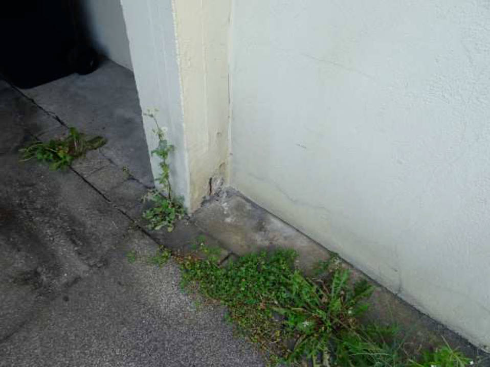 nordrheinwestpfalen 0274 K 0007/2023 Hallesche Str. 65, 44143 Dortmund, Innenstadt-Ost 24