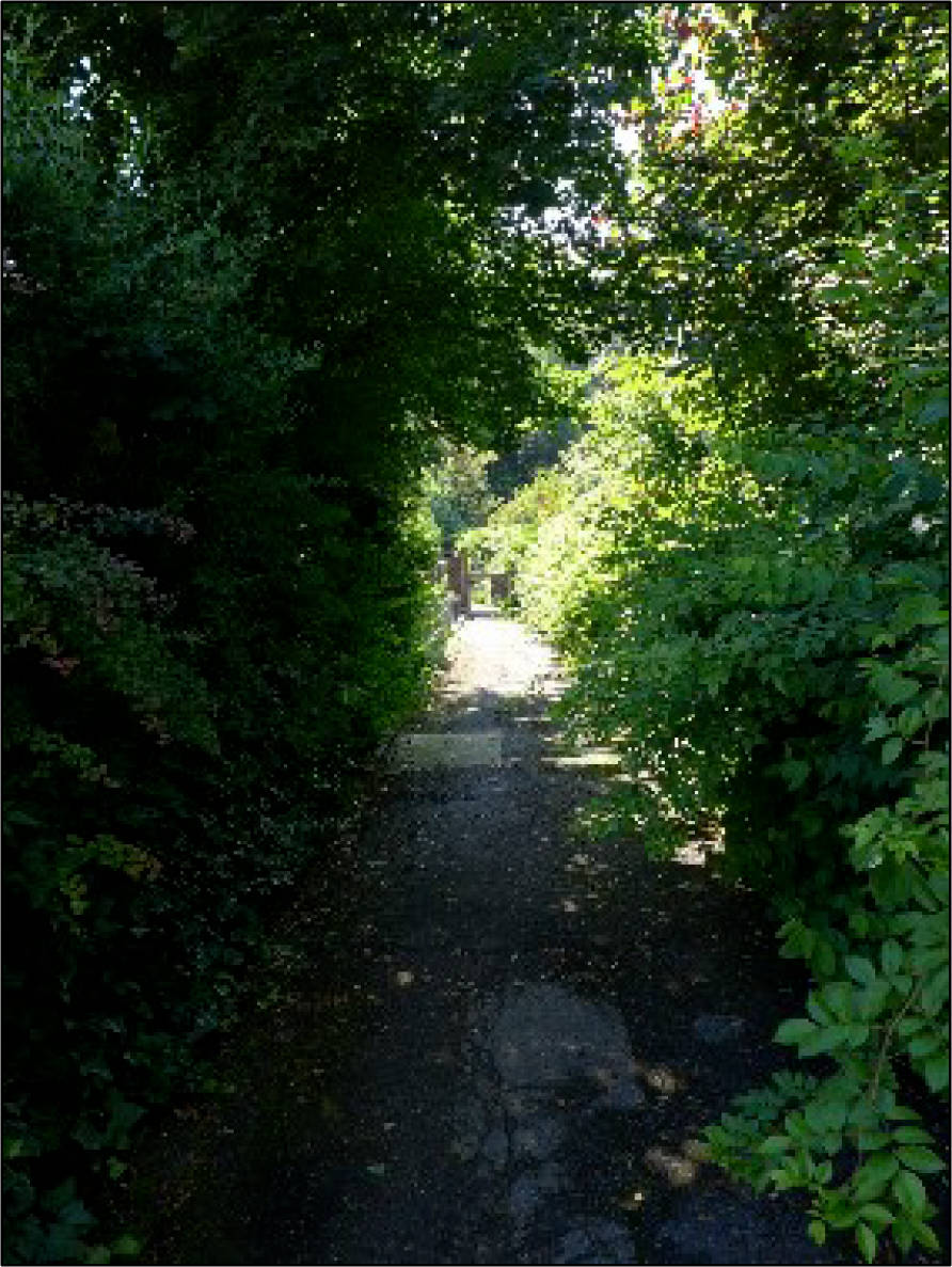 nordrheinwestpfalen 0274 K 0013/2020 Orchideenweg 32, 44289 Dortmund, Sölde 5