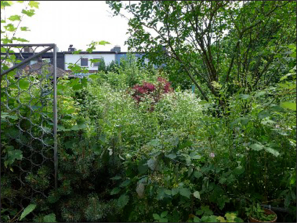 nordrheinwestpfalen 0274 K 0013/2020 Orchideenweg 32, 44289 Dortmund, Sölde 13
