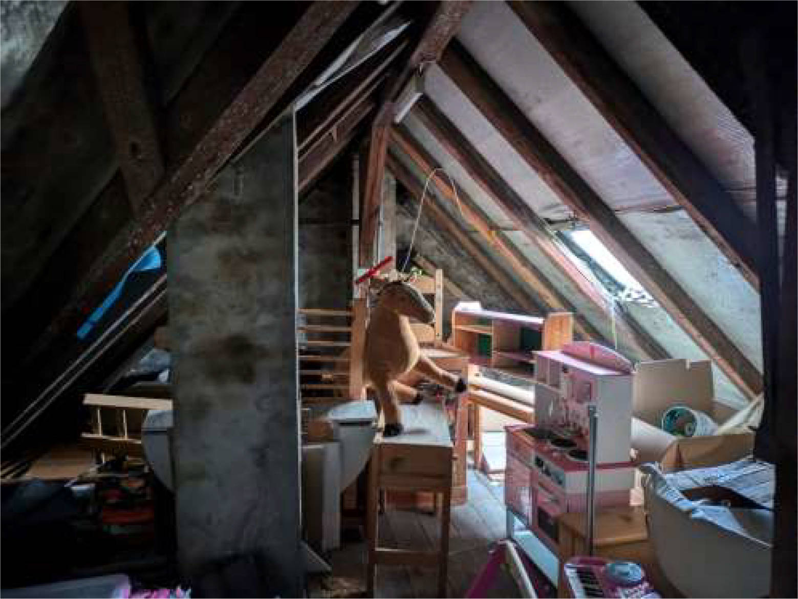 nordrheinwestpfalen 0275K0003/2023 Stortsweg 21, 44227 Dortmund, Hombruch 15