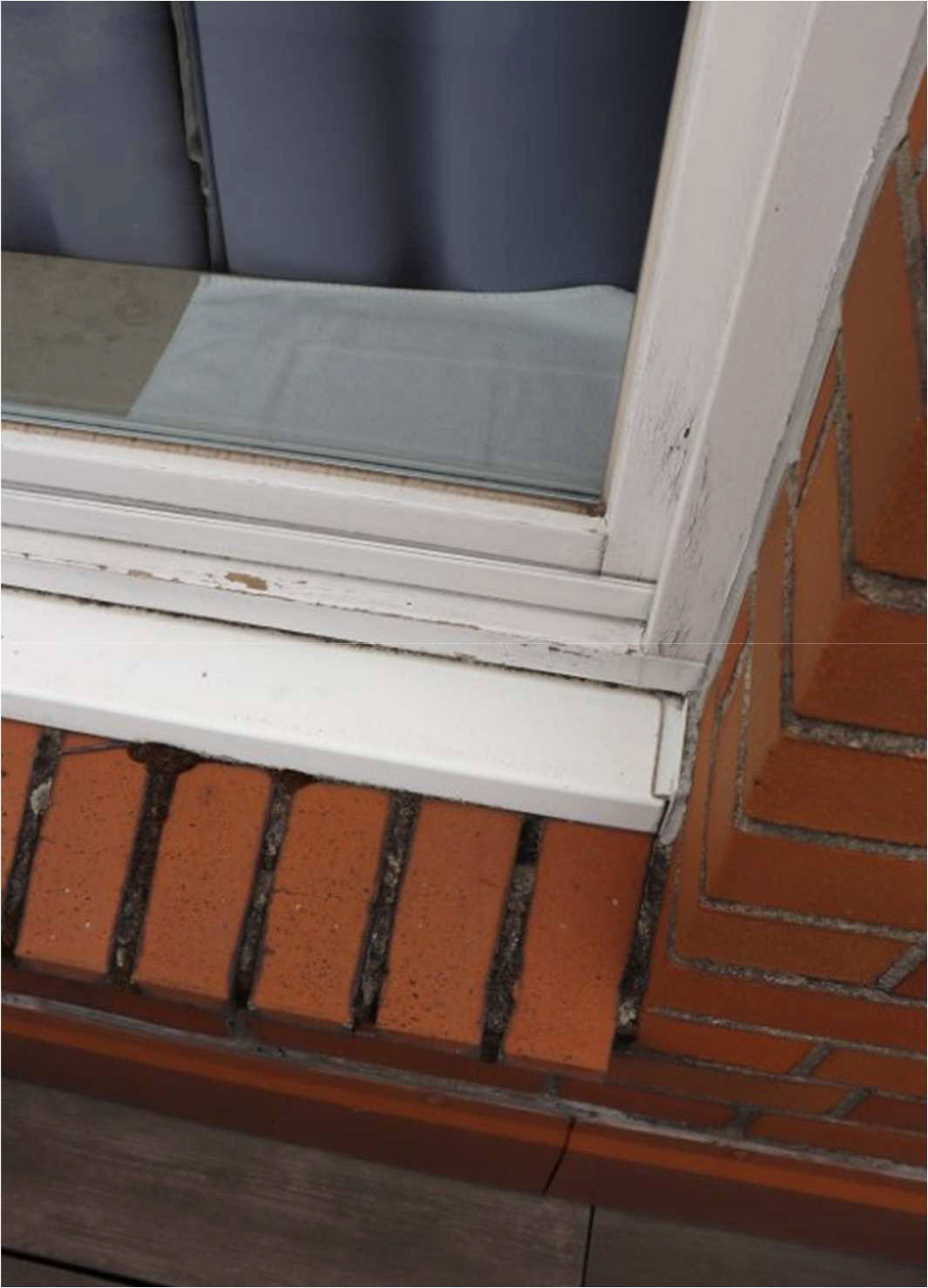 nordrheinwestpfalen 0275 K 0005/2023 Olpketalstraße 117, 44229 Dortmund, Lücklemberg 14