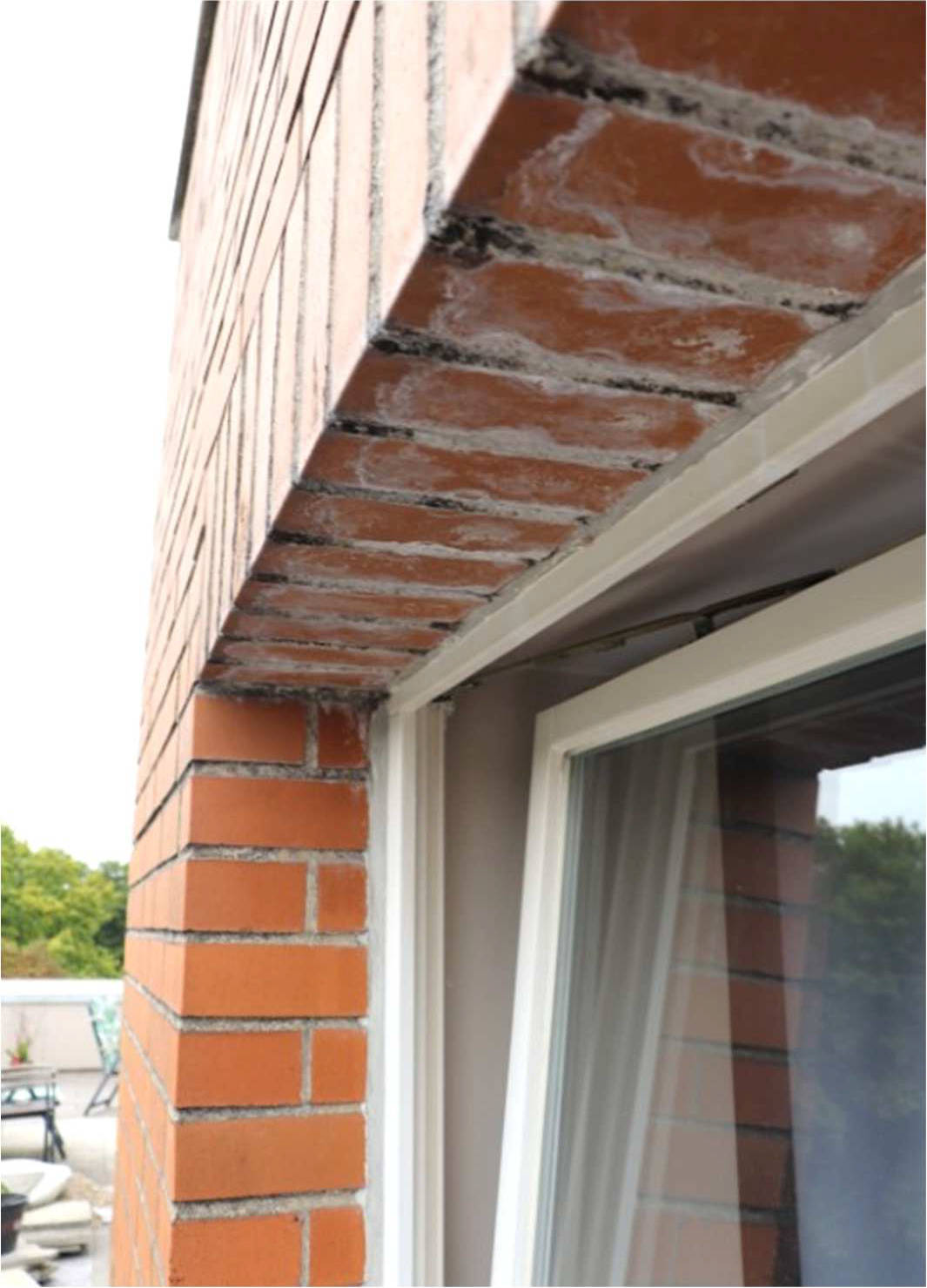 nordrheinwestpfalen 0275 K 0005/2023 Olpketalstraße 117, 44229 Dortmund, Lücklemberg 17