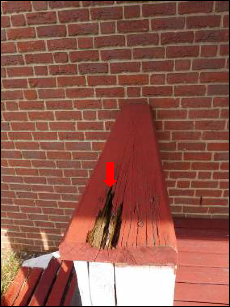 nordrheinwestpfalen 0276K0109/2022 Holzrichterweg 17a, 44229 Dortmund, Bittermark 16