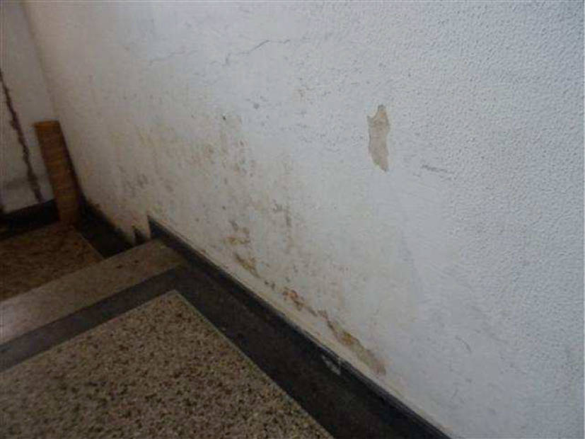 nordrheinwestpfalen 0277K0001/2023 Blumenstraße 42, 44147 Dortmund, Innenstadt-Nord 13