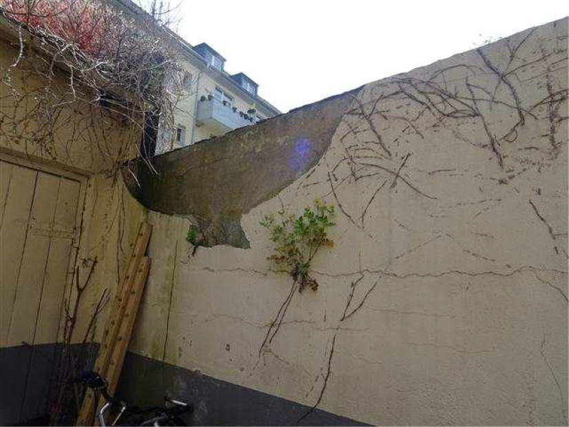 nordrheinwestpfalen 0277K0001/2023 Blumenstraße 42, 44147 Dortmund, Innenstadt-Nord 11