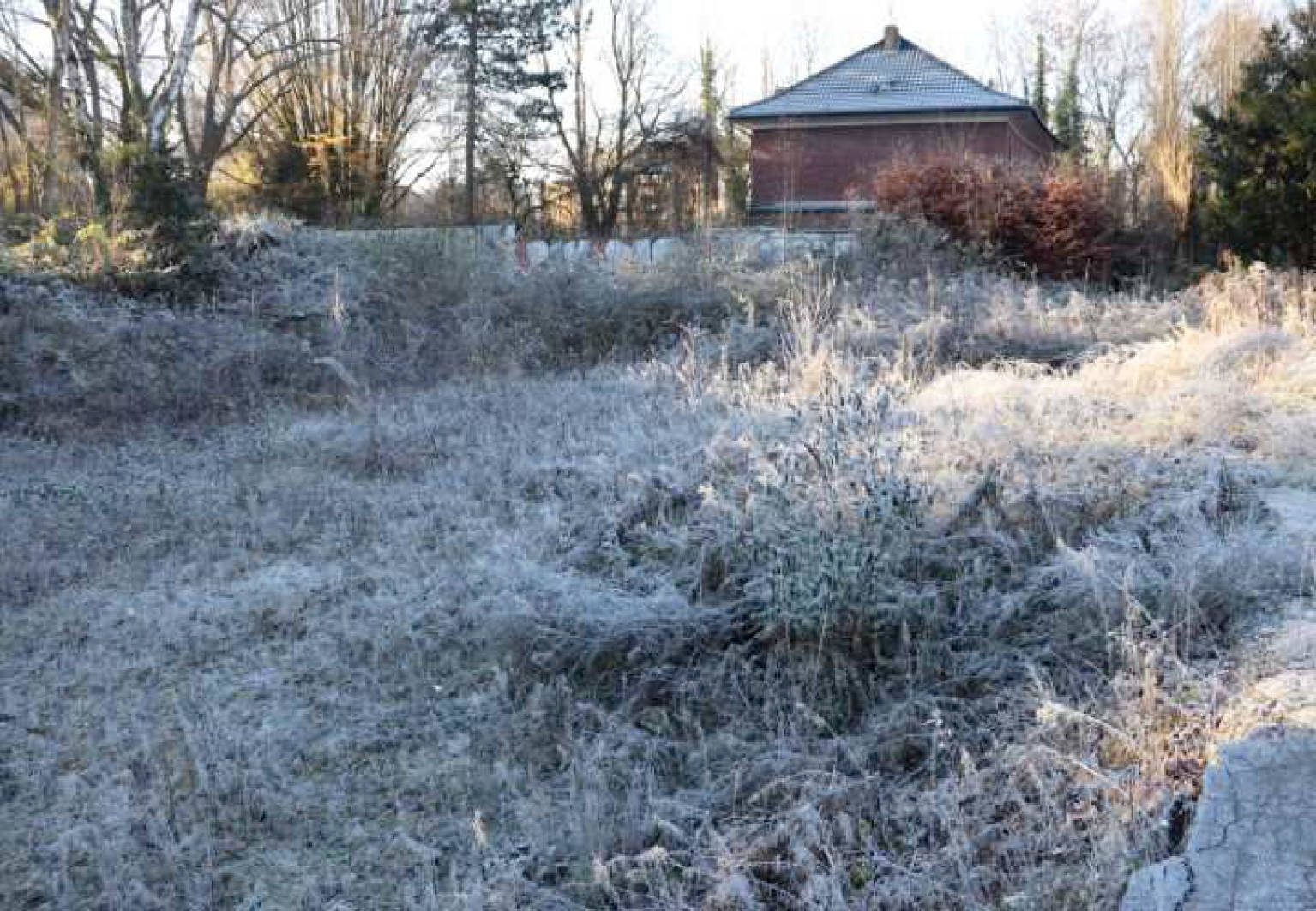 unbebautes Grundstück, unbebautes Grundstück, unbebautes Grundstück in Westfalendamm 305, 44141 Dortmund, Innenstadt-Ost - Bild 3