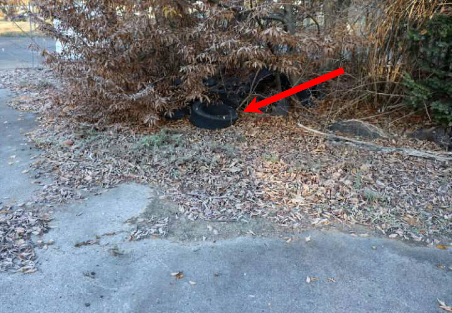 nordrheinwestpfalen 0277 K 0108/2022 Westfalendamm 305, 44141 Dortmund, Innenstadt-Ost 10