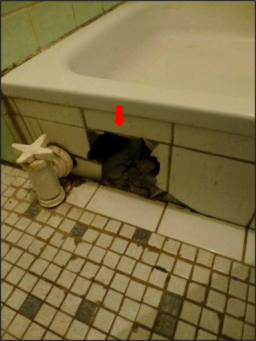 nordrheinwestpfalen 0278 K 0006/2023 Brackeler Hellweg 138, 44309 Dortmund, Brackel 25