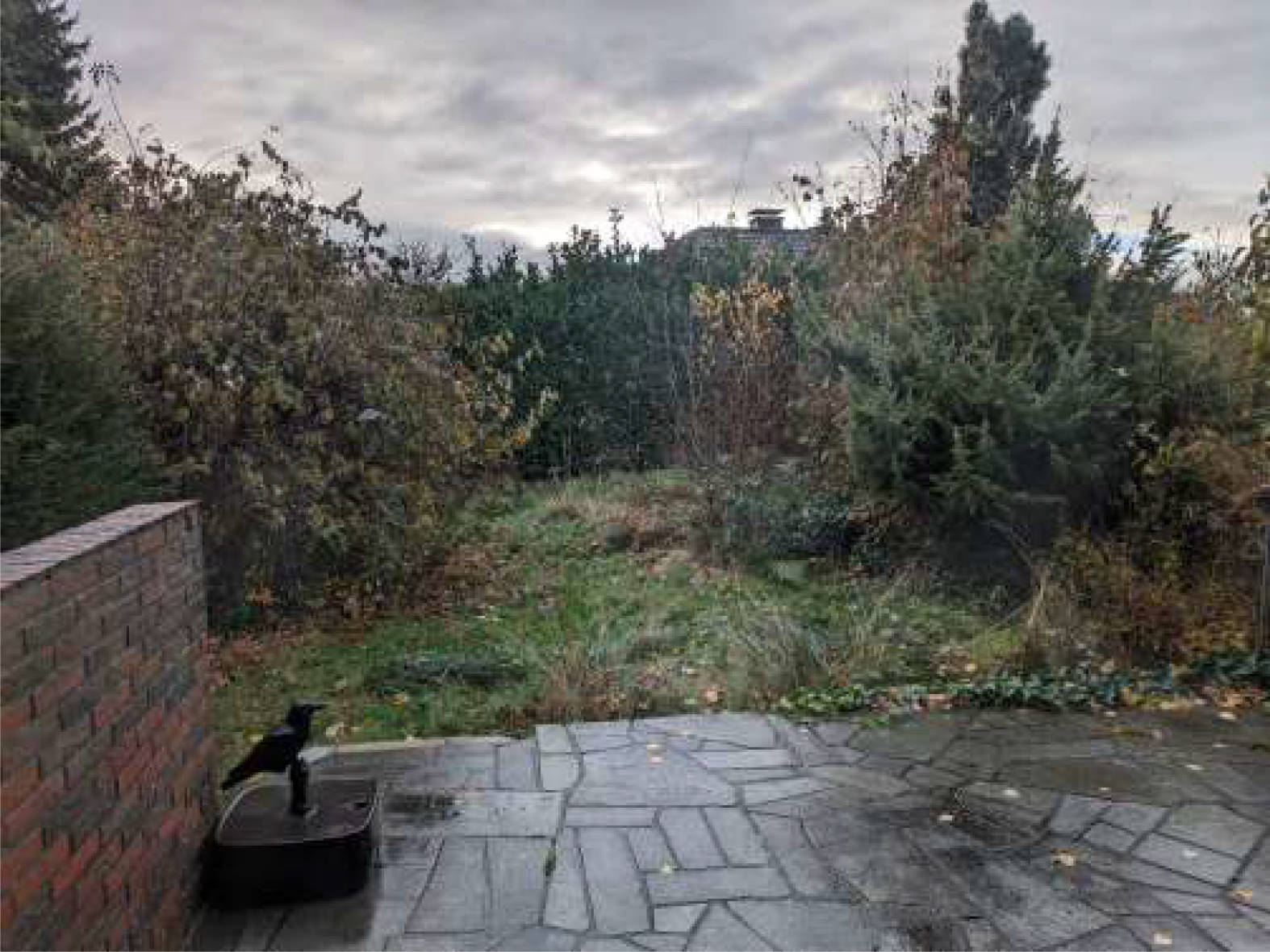 nordrheinwestpfalen 0279K0004-2023 Kaldehofweg 43, 44309 Dortmund, Brackel