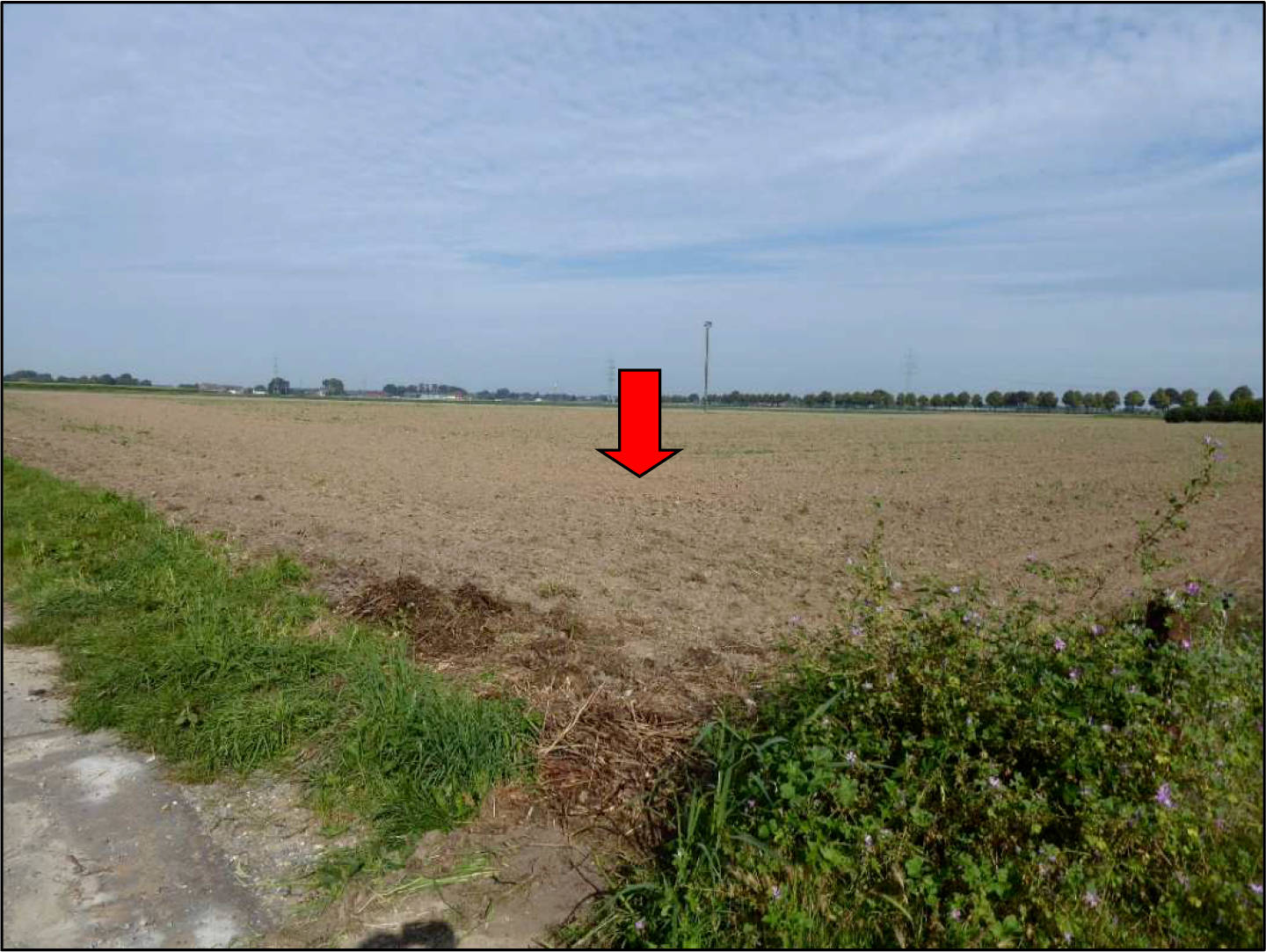 landwirtschaftliche Nutzfläche, welche z. Zt. als Acker genutzt wird in Auf der Hardt, 47877 Willich