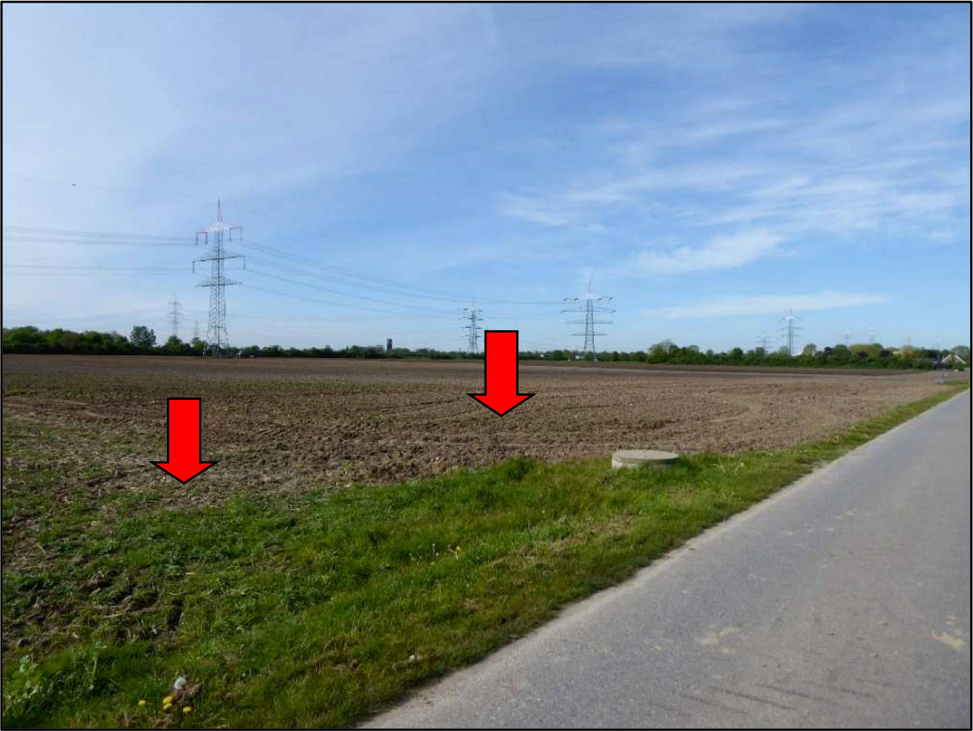nordrheinwestpfalen 0420K0047-2023 Die Hülsbüsche, 00000