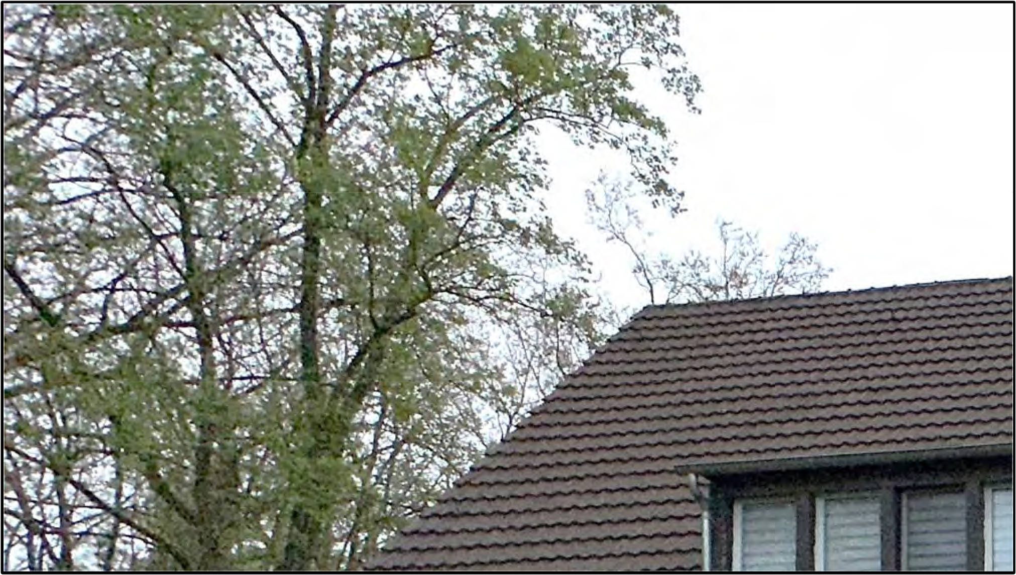 nordrheinwestpfalen 0651K0014/2024 Gartenstr. 13, 47226 Duisburg, Rheinhausen-Hochemmerich 11