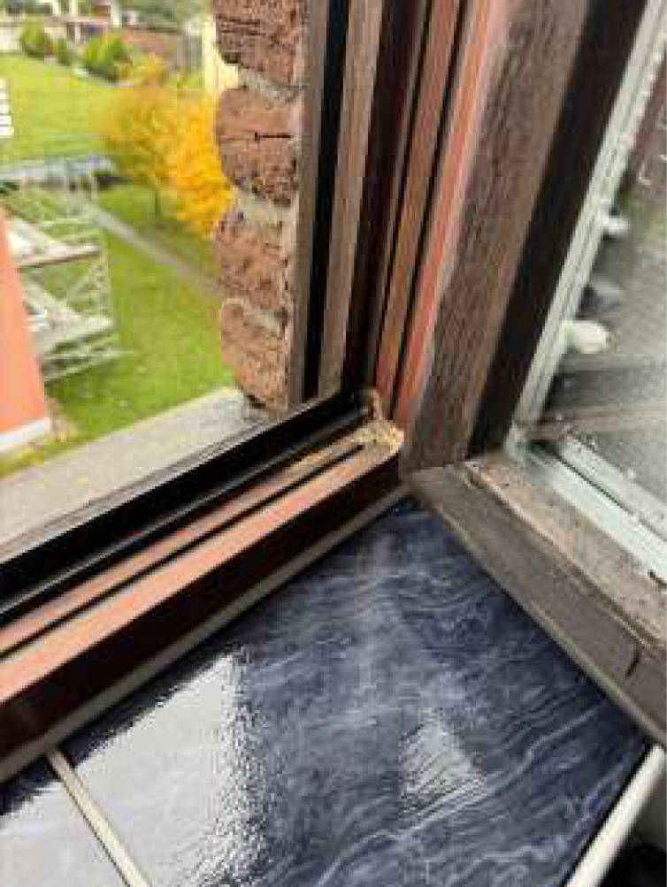 nordrheinwestpfalen 0651K0015-2024 Hedwigstr. 73, 47198 Duisburg, Homberg-Hochheide