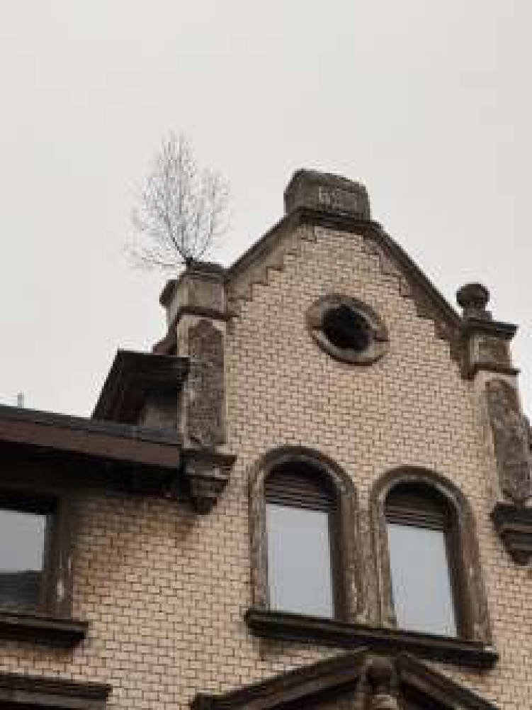 nordrheinwestpfalen 0651K0048-2024 Eschenstr. 49, 47055 Duisburg, Wanheimerort 11