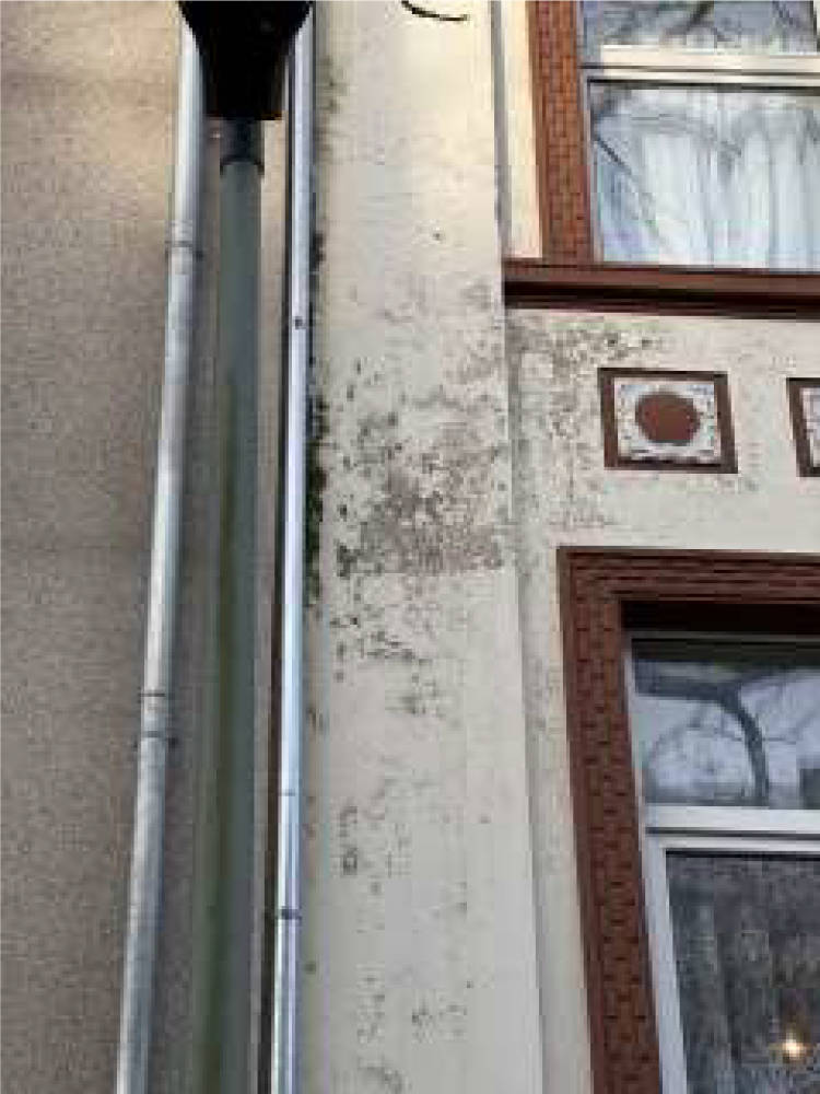 nordrheinwestpfalen 0651 K 0083/2024 Trautenaustr. 18, 47053 Duisburg, Hochfeld 14