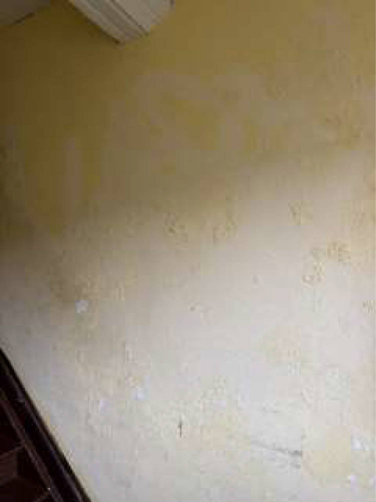 nordrheinwestpfalen 0651 K 0084/2024 Hochfeldstr. 6, 6a, 47053 Duisburg, Hochfeld 22