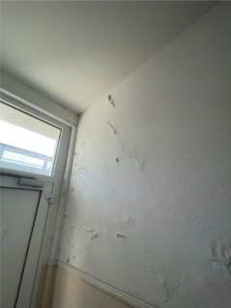 nordrheinwestpfalen 0651 K 0085/2024 Atroper Str. 26, 47226 Duisburg, Rheinhausen-Hochemmerich 18