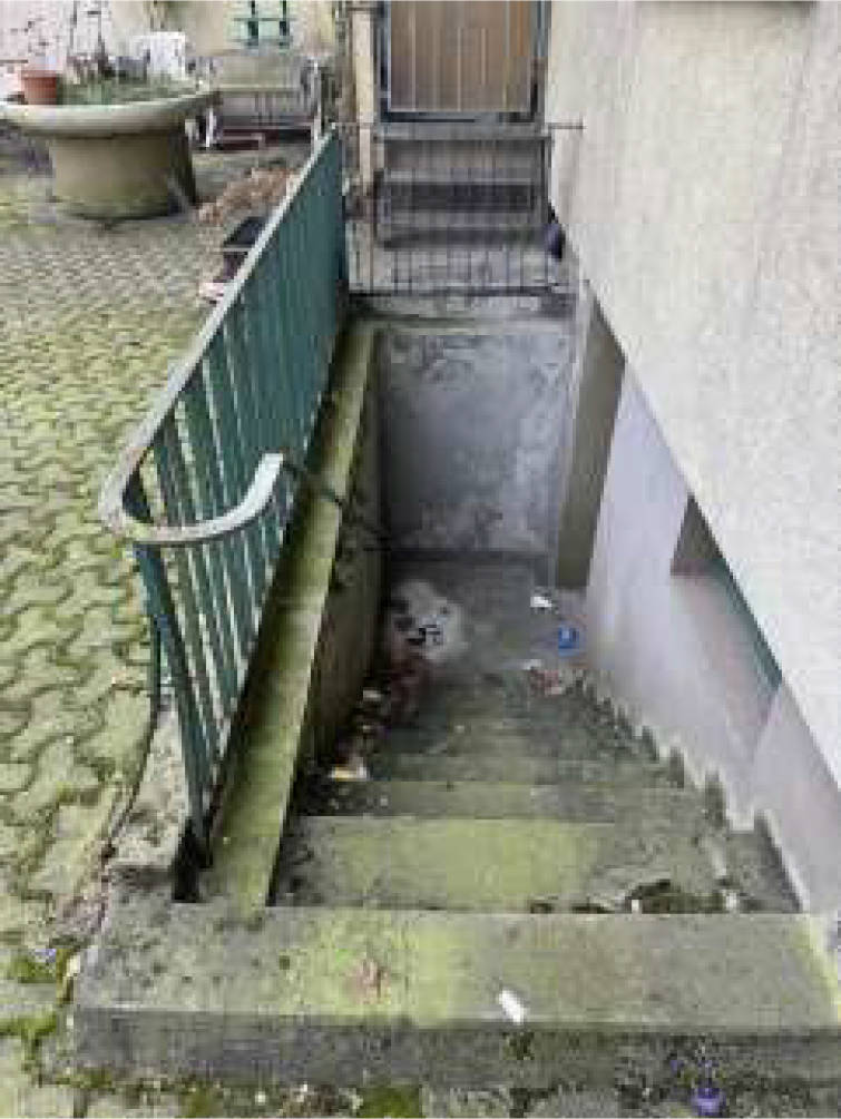 nordrheinwestpfalen 0651 K 0093/2024 Mathildenstr. 6, 47169 Duisburg, Marxloh 14