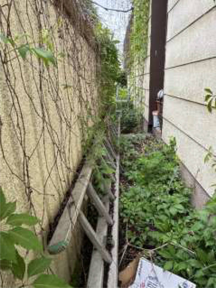 nordrheinwestpfalen 0651 K 0097/2024 Asberger Str. 11, 47198 Duisburg, Homberg-Hochheide 12