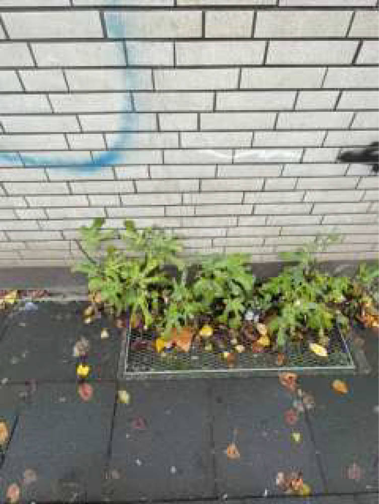 nordrheinwestpfalen 0652K0024-2024 Hagedornstr. 1 A, 47169 Duisburg, Marxloh