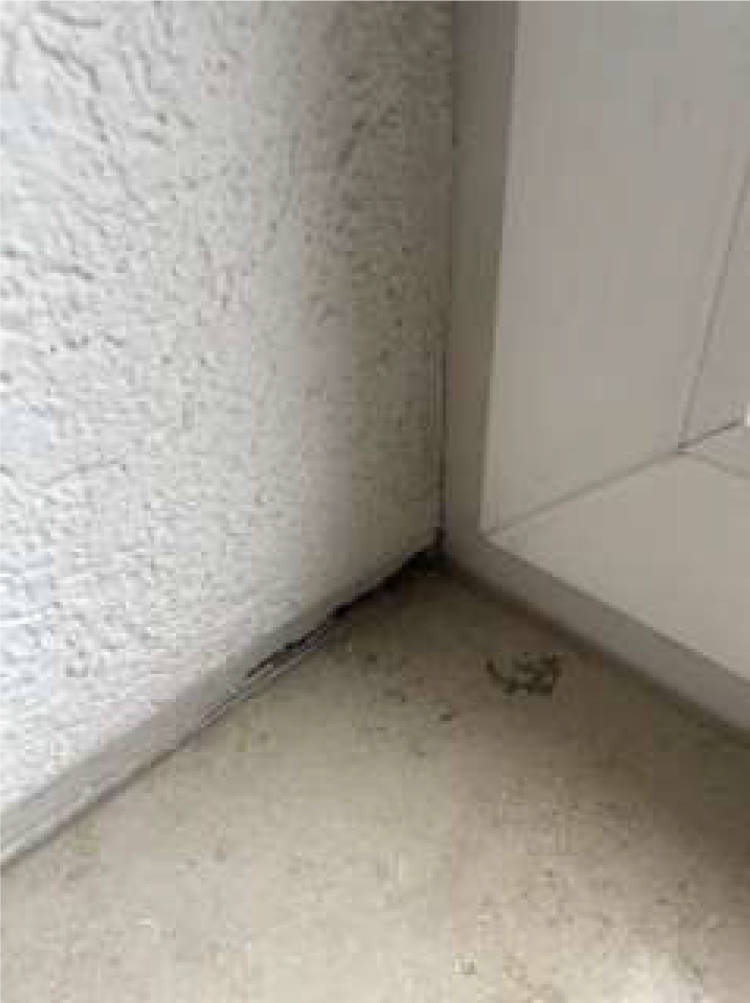 nordrheinwestpfalen 0653 K 0036/2024 Lehrerstraße 55, 57, 59, 47167 Duisburg, Neumühl 18